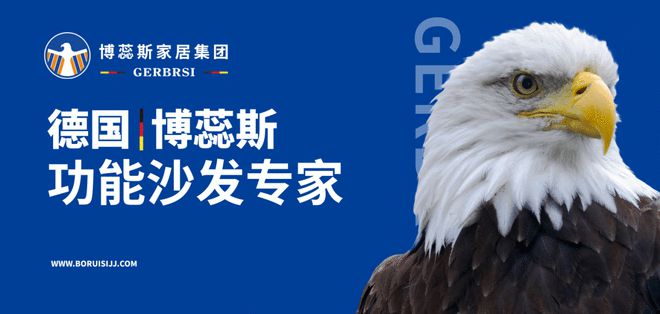 能沙发专家 大国隐形冠军AG真人国际博蕊斯——功(图4)